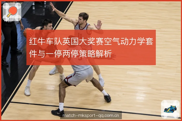 轮胎降解与进站窗口 轮胎降解与进站窗口