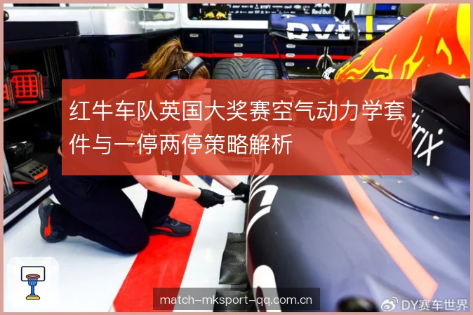 红牛车队英国大奖赛空气动力学套件与一停两停策略解析 红牛车队英国大奖赛空气动力学套件与一停两停策略解析