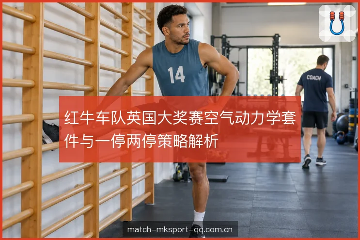 红牛车队英国大奖赛空气动力学套件与一停两停策略解析